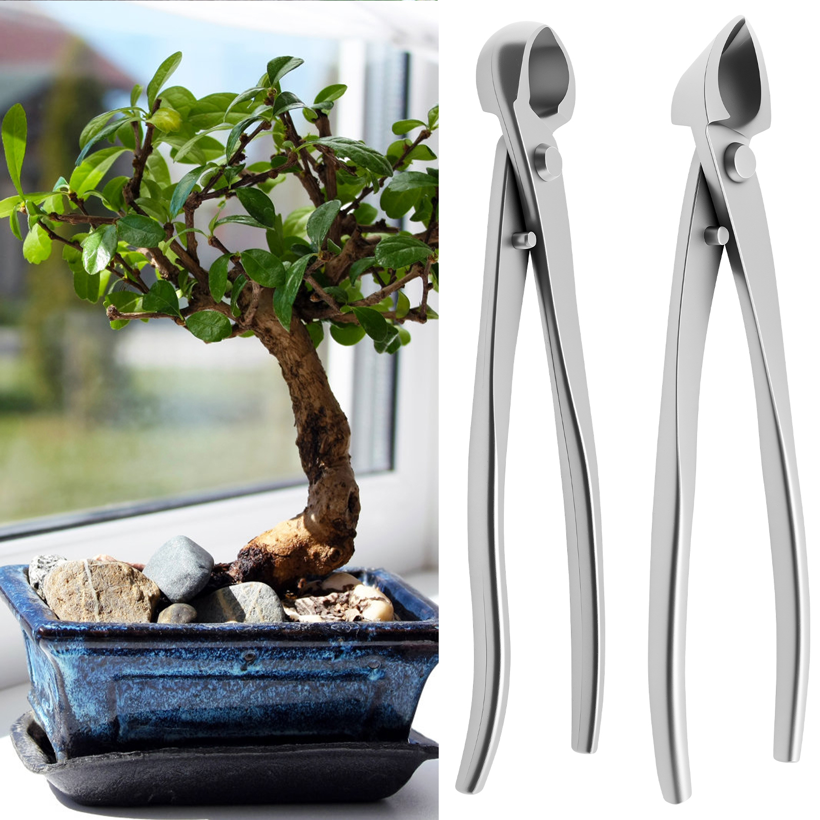 Bonsai Garden Timings - 2026 Bonsai Grooming Kit Stainless Steel