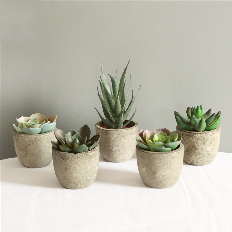 Bonsai Garden Table - Mini Artificial Aloe Plants Bonsai Small
