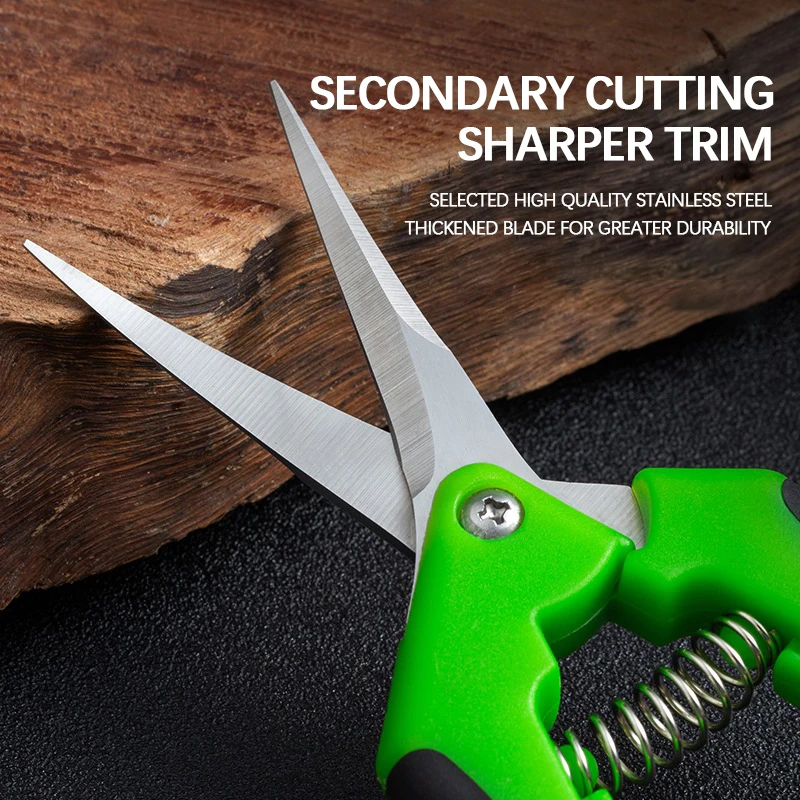 6.5-inch Pruning Scissors for  – Bonsai Garden Timings Bewertung und Preis