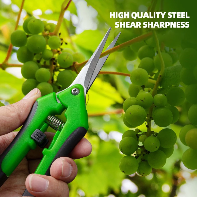 6.5-inch Pruning Scissors for  – Bonsai Garden Timings Bewertung und Preis