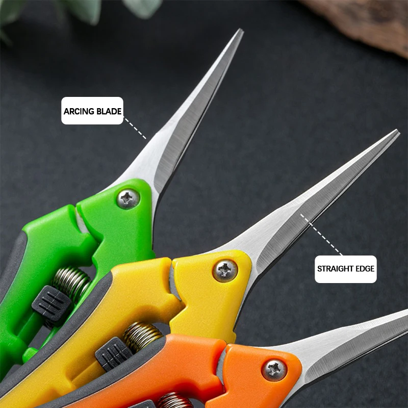 6.5-inch Pruning Scissors for  – Bonsai Garden Timings Bewertung und Preis