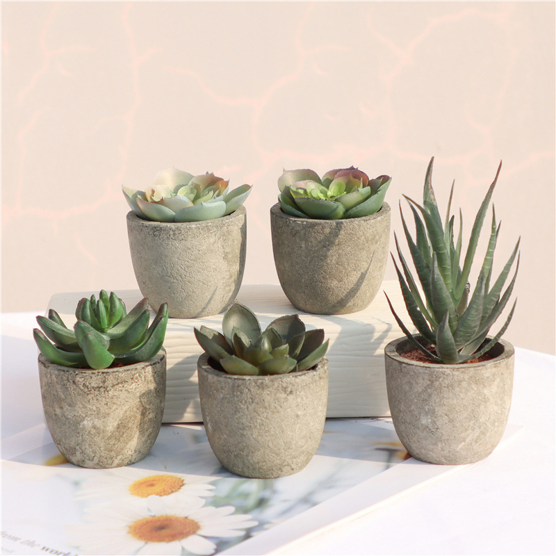 Mini Artificial Aloe Plants Bo – Bonsai Garden Table Bewertung und Preis