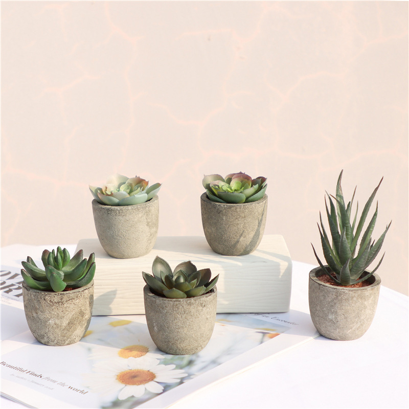 Mini Artificial Aloe Plants Bo – Bonsai Garden Table Bewertung und Preis