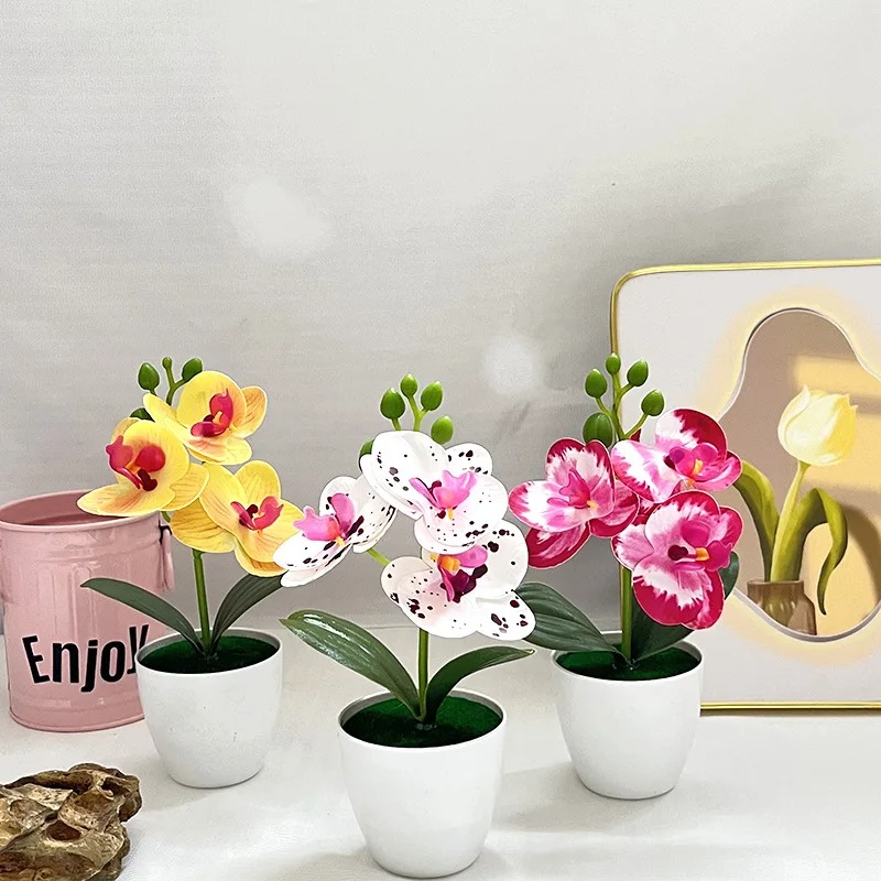 1Pcs 20CM Simulation Plants Po – Bonsai Garden Table Bewertung und Preis