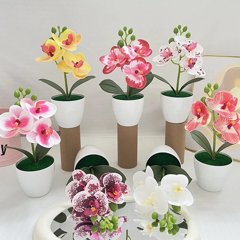 1Pcs 20CM Simulation Plants Po – Bonsai Garden Table Bewertung und Preis