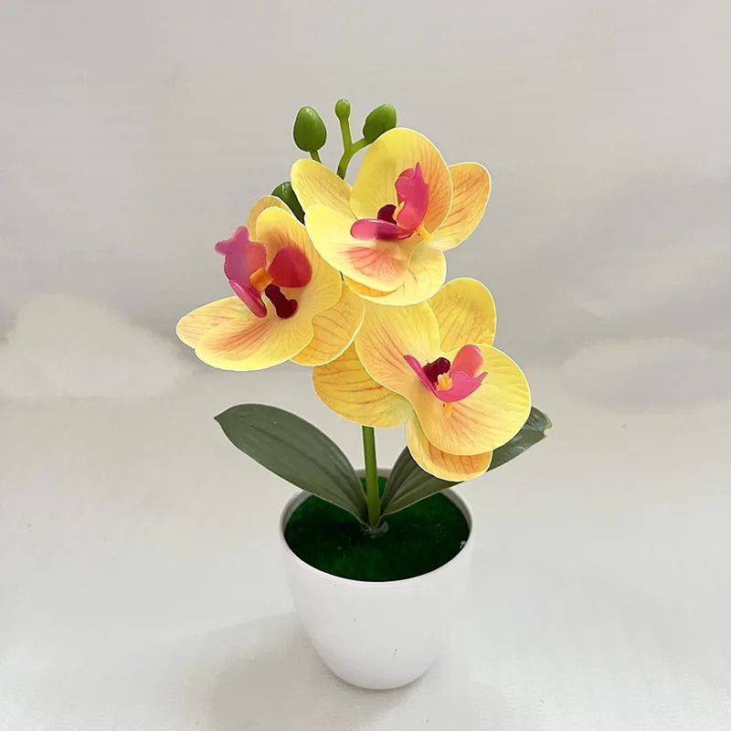 1Pcs 20CM Simulation Plants Po – Bonsai Garden Table Bewertung und Preis