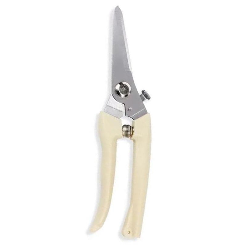Fruit Bonsai Picking Scissors  – Bonsai Garden Hours Bewertung und Preis