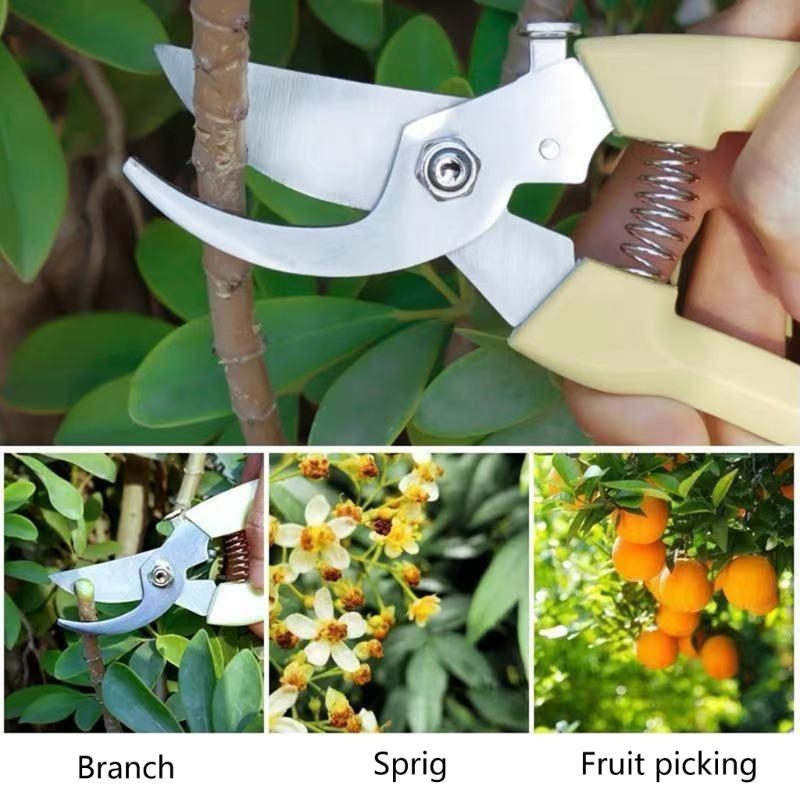Fruit Bonsai Picking Scissors  – Bonsai Garden Hours Bewertung und Preis
