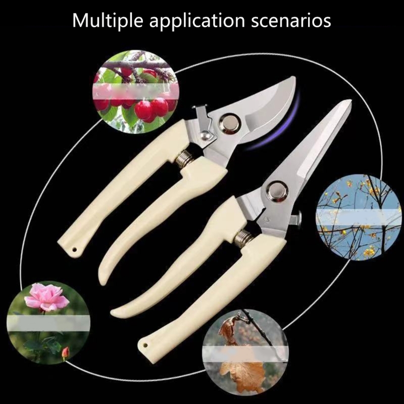 Fruit Bonsai Picking Scissors  – Bonsai Garden Hours Bewertung und Preis